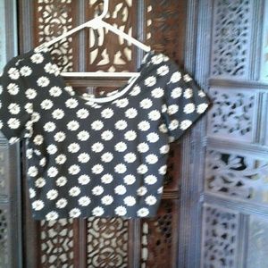 Short sleeve gothic daisy print crop top